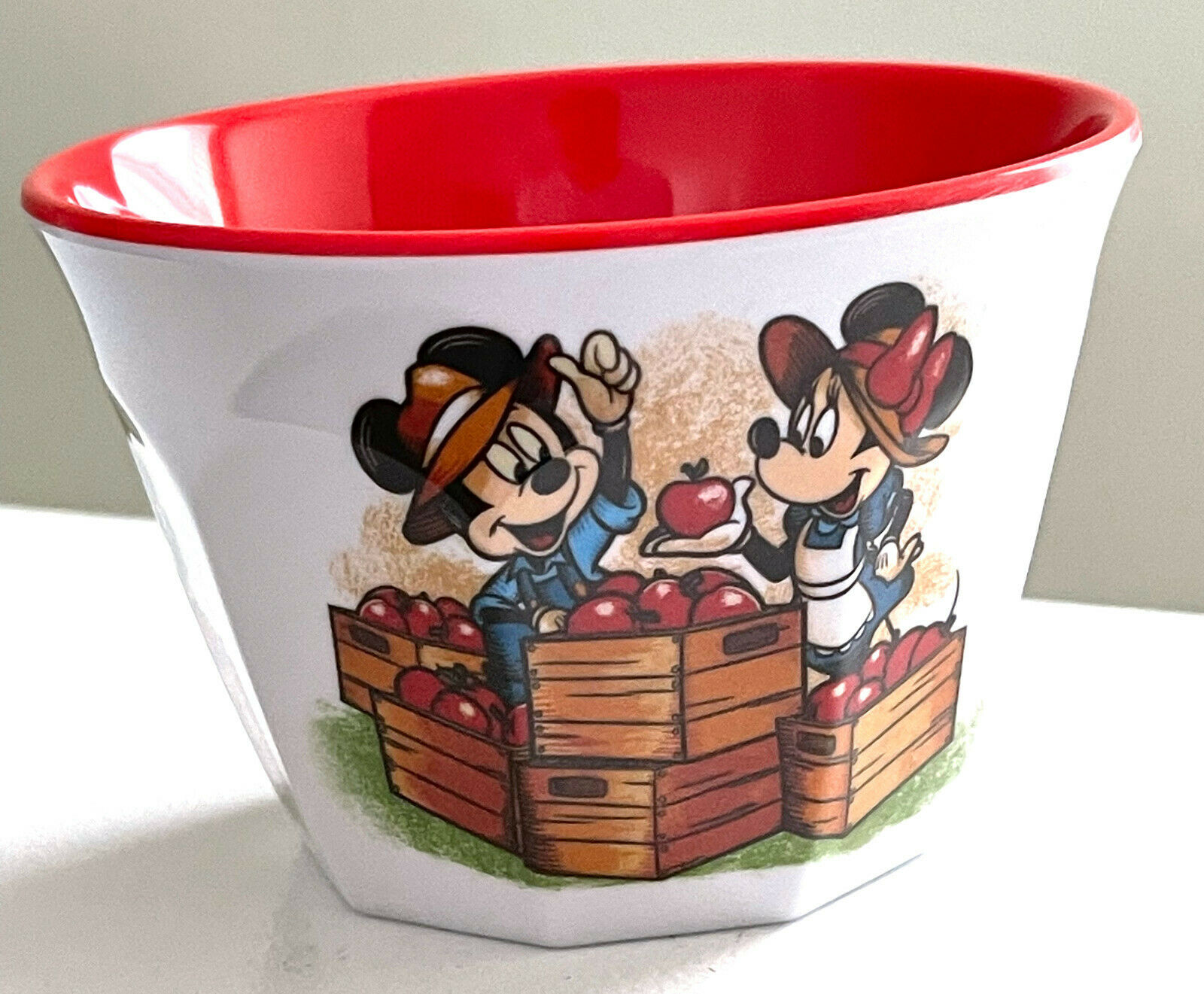 Walt Disney World Epcot Food And Wine Festival 2021 Mickey Minnie Small Bowl New